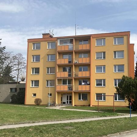 Apartman Ve Velkych Losinach Velké Losiny 外观 照片