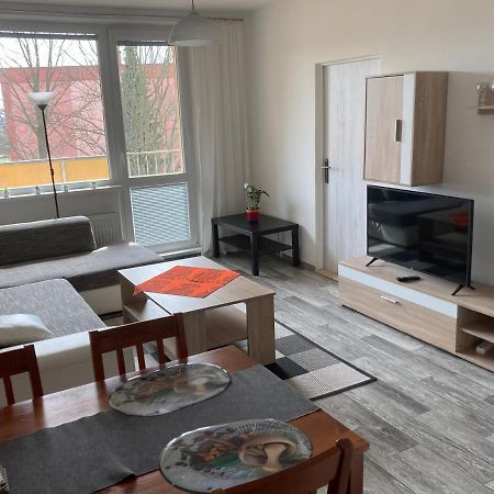 Apartman Ve Velkych Losinach Velké Losiny 外观 照片